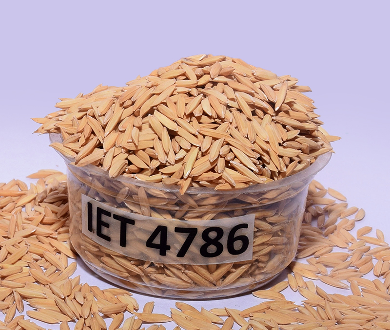 IET 4786